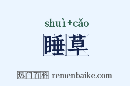睡草是什么意思的图片